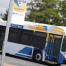 Halifax Transit Bus